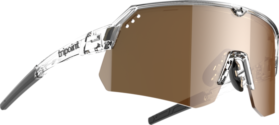 
TRIPOINT, 
001 Treriksröset Tri-x Polarized, 
Detail 1
