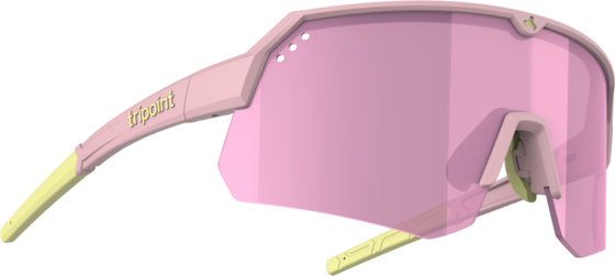 
TRIPOINT, 
001 Treriksröset, 
Detail 1
