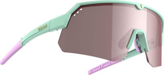 
TRIPOINT, 
001 Treriksröset, 
Detail 1
