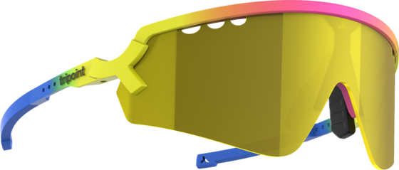 
TRIPOINT, 
007 Chobe, 
Detail 1
