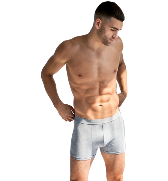 911405102105, 3-pack Boxer Brief, BREAD & BOXERS, Detail