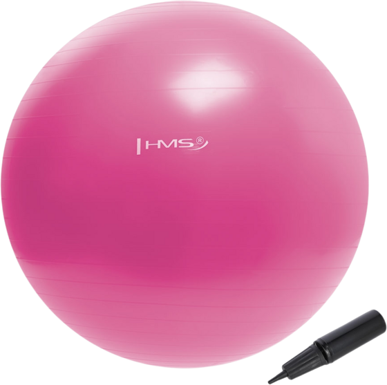 
NORTHIX, 
55cm Pink Gym Ball &ndash; Anti-burst, Non-slip, 
Detail 1

