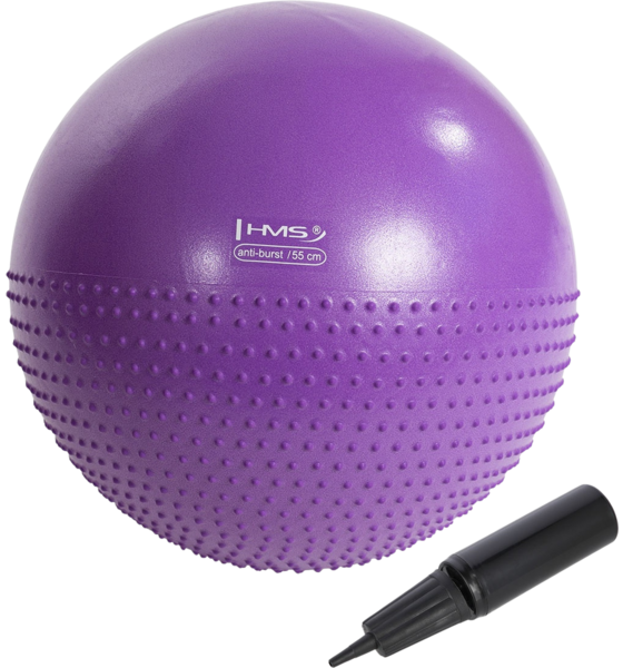 
NORTHIX, 
55cm Violet Gym Ball For Exercise  Fitness, 
Detail 1
