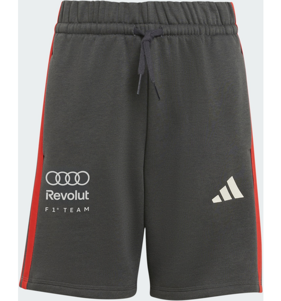 
ADIDAS, 
Adidas Audi Revolut F1 Team Dna Shorts, 
Detail 1
