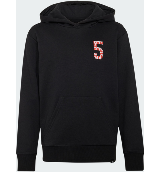 
ADIDAS, 
Adidas Audi Revolut F1 Team Gabriel Bortoleto Graphic Ii Hoodie, 
Detail 1
