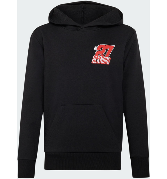 
ADIDAS, 
Adidas Audi Revolut F1 Team Nico Hulkenberg Graphic Ii Hoodie, 
Detail 1
