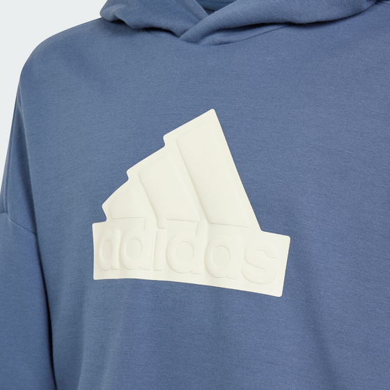 ADIDAS, Adidas Future Icons Logo Hooded Sweatshirt