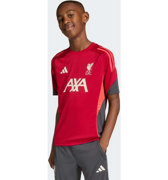 
ADIDAS, 
Adidas Liverpool Fc Tiro 25 Competition Tr&auml;ningstr&ouml;ja, 
Detail 1
