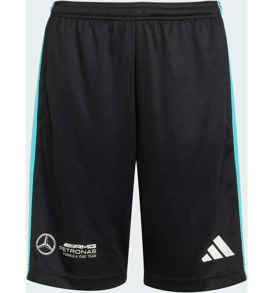 
ADIDAS, 
Adidas Mercedes - Amg Petronas Formula One Team Dna Shorts, 
Detail 1

