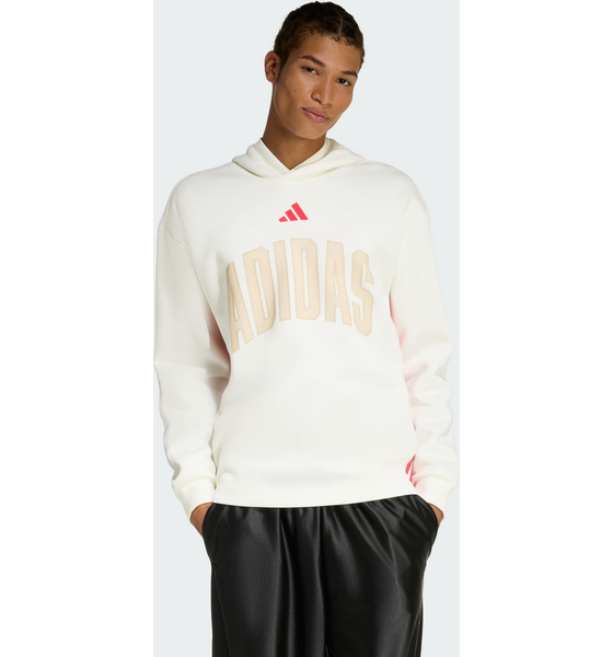 
ADIDAS, 
Adidas Stadium Graphic Hoodie, 
Detail 1
