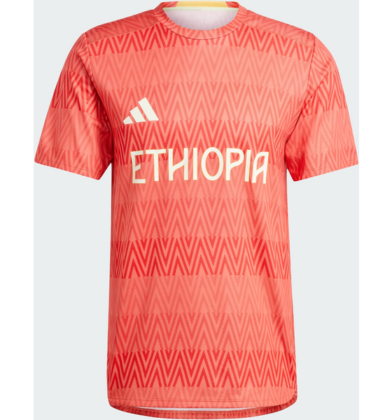 ADIDAS, Adidas Team Ethiopia Heat.rdy Training T-shirt