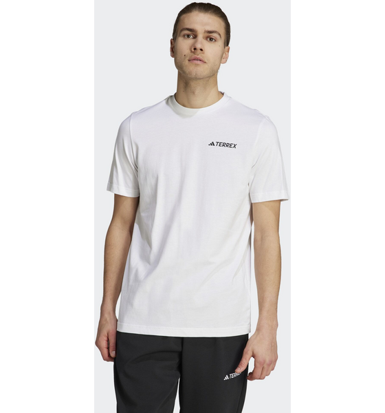 
ADIDAS, 
Adidas Terrex Graphic Mtn 2.0 T-shirt, 
Detail 1
