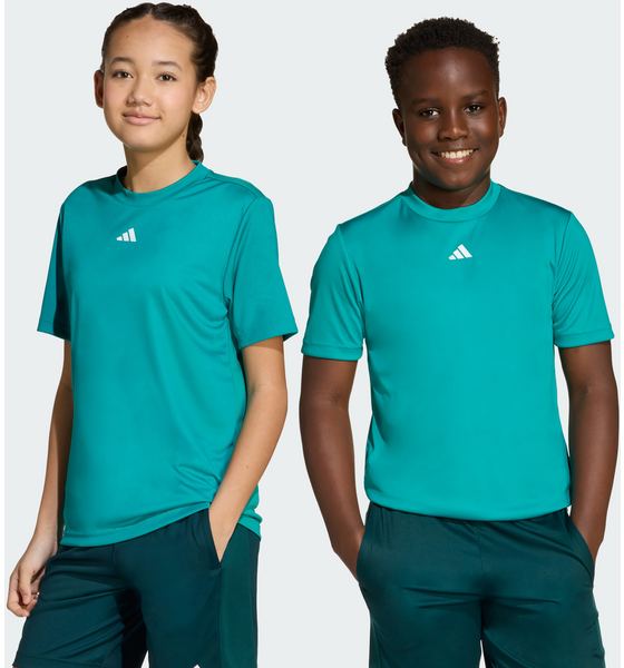 399849501501 ADIDAS Adidas Train Essentials Logo Regular Fit T-shirt  Model01 Detail