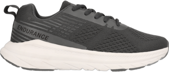 
ENDURANCE, 
Adrian, 
Detail 1
