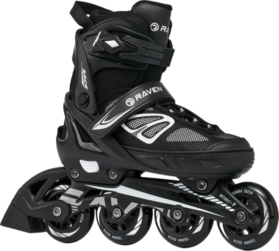 
RAVEN, 
Advance, 
Detail 1
