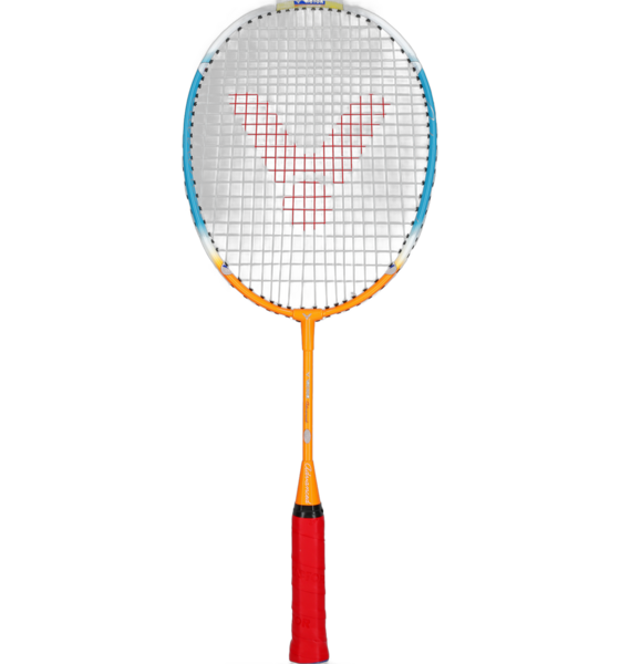 
VICTOR, 
Advanced, 
Detail 1
