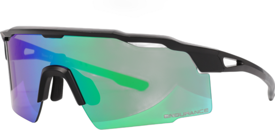 956541103101 ENDURANCE Alberto Sports Glasses  Standard Detail