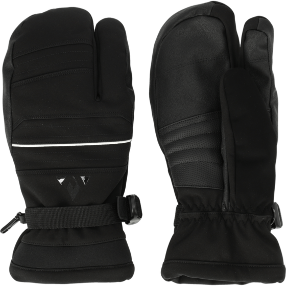 
WHISTLER, 
Allegro Ski Gloves, 
Detail 1
