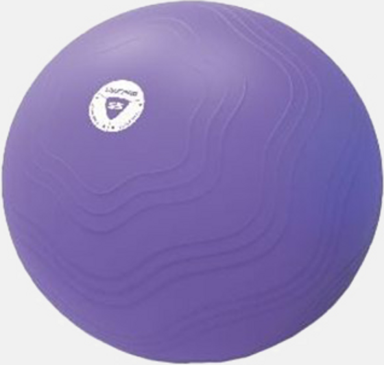 
LIVEPRO, 
Anti-burst Core Fit Exercise Ball 55cm, 
Detail 1
