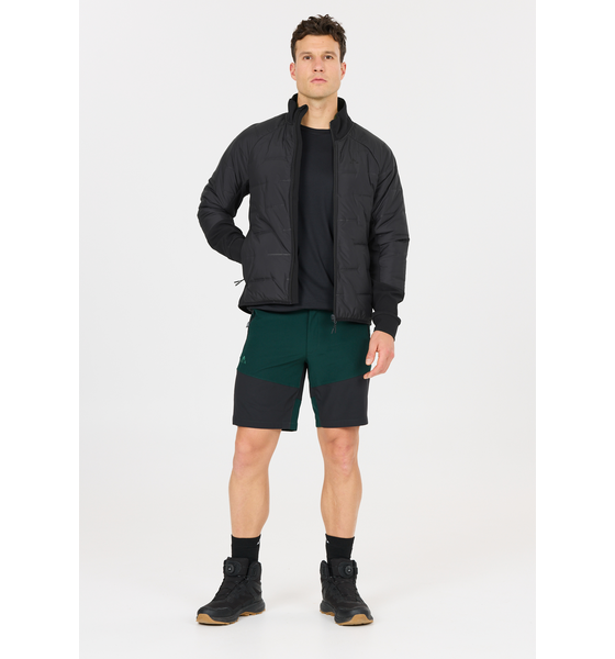 
WHISTLER, 
Ari, 
Detail 1
