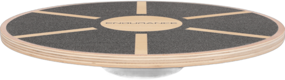 
ENDURANCE, 
Balance Board, 
Detail 1
