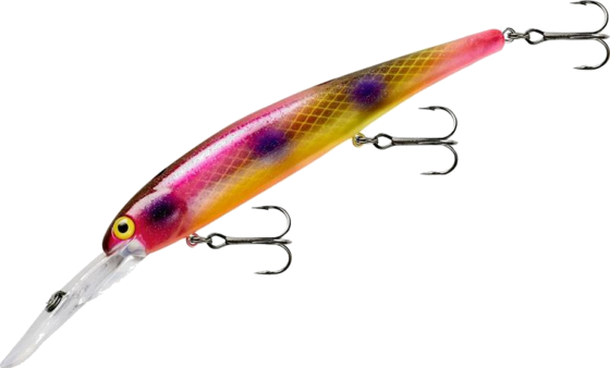 
BANDIT LURES, 
Bandit Generator Overflow, 
Detail 1
