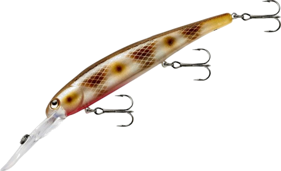 
BANDIT LURES, 
Bandit Generator Sandstorm, 
Detail 1
