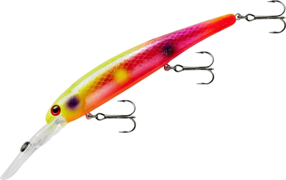 
BANDIT LURES, 
Bandit Generator Sunspot, 
Detail 1
