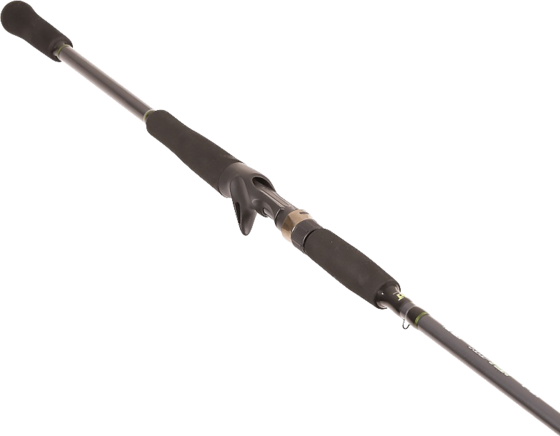 
BFT, 
Bft Raptor G2 Pike Multi 8' -100g - 2pcs (multi), 
Detail 1
