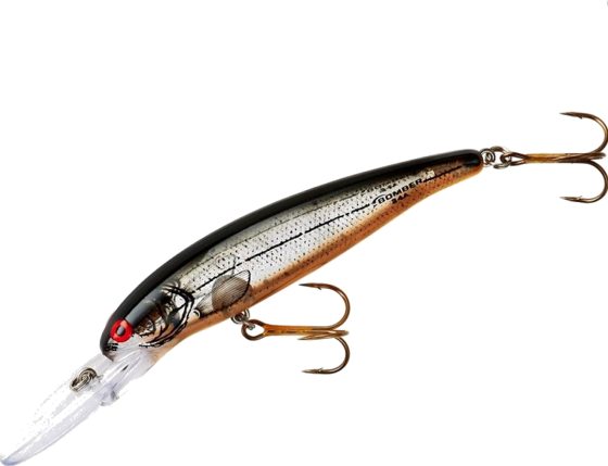 
BOMBER LURES, 
Bomber B24a Deep Long A 12g 9cm - Xsio, 
Detail 1
