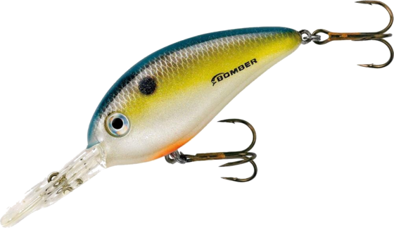 
BOMBER LURES, 
Bomber Fat Free Shad Deep Square Lip 21g 7,6cm - Fs, 
Detail 1
