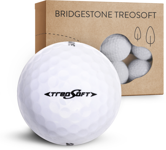 
OUT OF BOUNDS, 
Bridgestone Treosoft  12-pack, 
Detail 1
