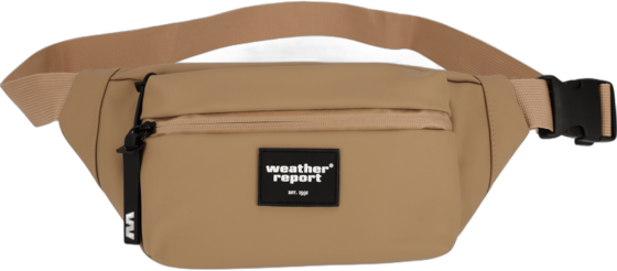 
WEATHER REPORT, 
Bronze Belly Bag, 
Detail 1
