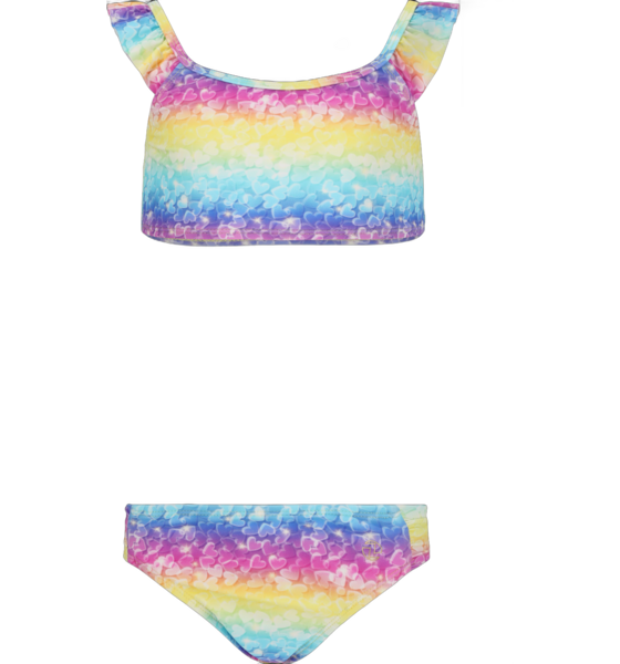 954147103101 ZIGZAG Carly Bikini  Standard Detail