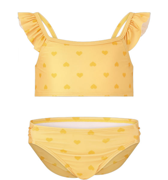 954147105102 ZIGZAG Carly Bikini  Standard Detail