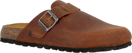 
AXELDA, 
Carter W, 
Detail 1
