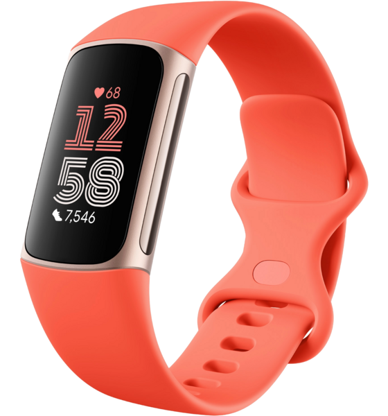 
FITBIT, 
Charge 6, 
Detail 1
