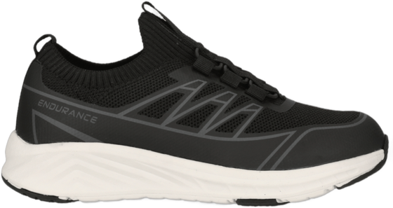 
ENDURANCE, 
Coin, 
Detail 1
