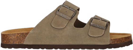 
NOU, 
Cosimo, 
Detail 1
