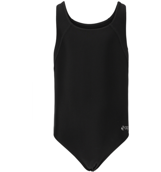 954158101101 ZIGZAG Dawlish Swimsuit  Standard Detail
