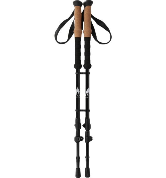 
WHISTLER, 
Delmarva Nordic Walking Poles, 
Detail 1
