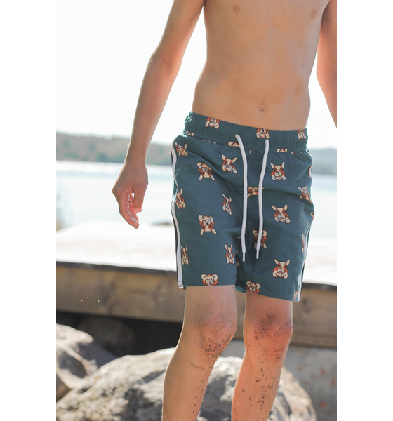 LINDBERG, Dexter Beach Shorts