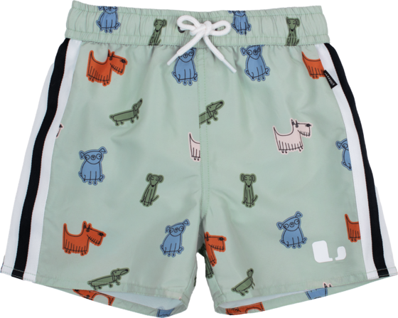 
LINDBERG, 
Dexter Beach Shorts, 
Detail 1
