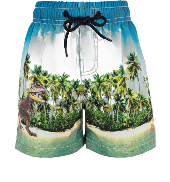 
ZIGZAG, 
Dino Swimming Trunks, 
Detail 1
