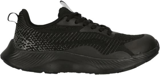 
ENDURANCE, 
Elestern, 
Detail 1
