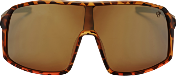 
CHPO, 
Erica, 
Detail 1
