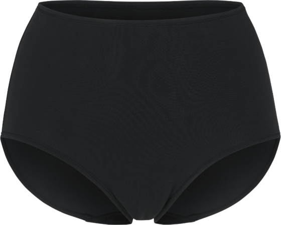 951181103101 SWEGMARK Essence Maxi Briefs Modal  Standard Detail