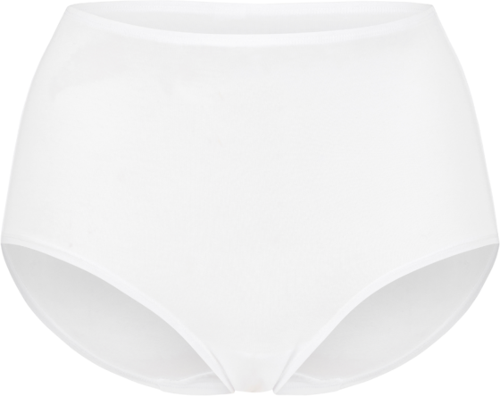 951181102101 SWEGMARK Essence Maxi Briefs Modal 951181102101 SWEGMARK Essence Maxi Briefs Modal Standard Detail
