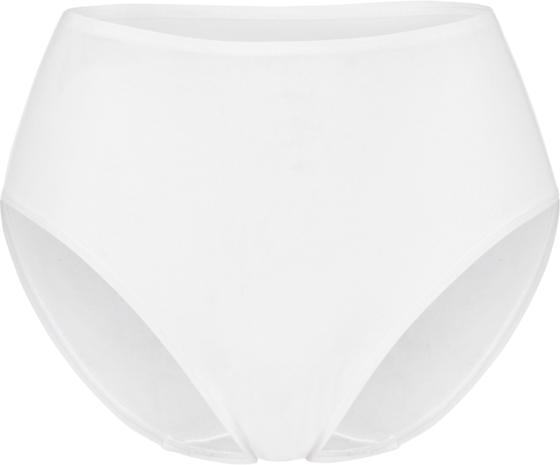 951176102101 SWEGMARK Essence Midi Briefs Modal  Standard Detail