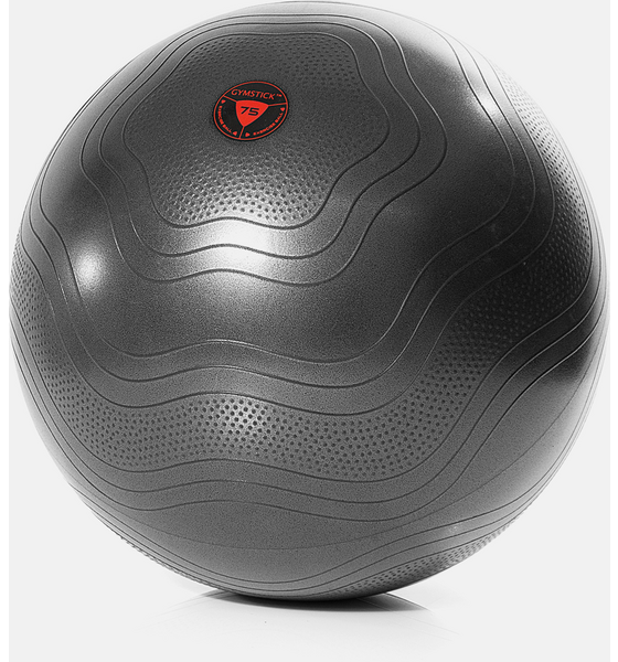 
GYMSTICK, 
Exercise Ball 55cm, 
Detail 1
